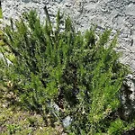 Rustico Eremo Rico By Interhome * Brione (Verzasca)