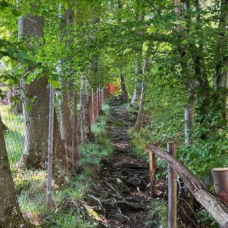 Rustico Eremo Rico By Interhome * Brione (Verzasca)