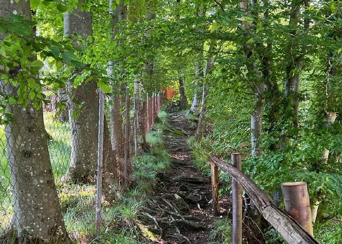 Rustico Eremo Rico By Interhome * Brione (Verzasca)