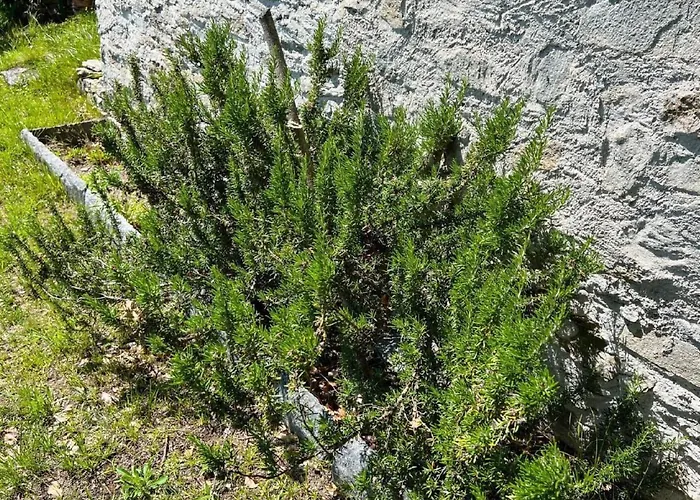 Rustico Eremo Rico By Interhome * Brione (Verzasca)