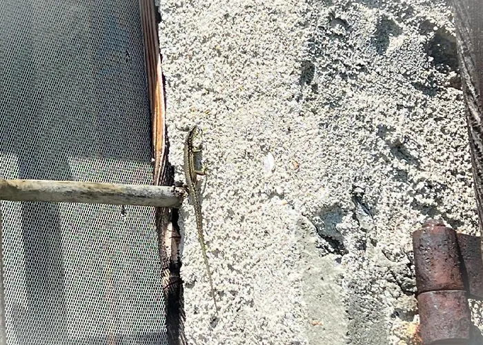 Casa vacanze Rustico Eremo Rico By Interhome *